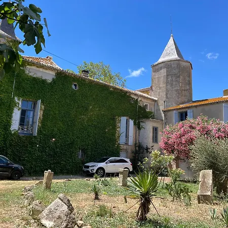 Domaine Saint Martin le grand-2